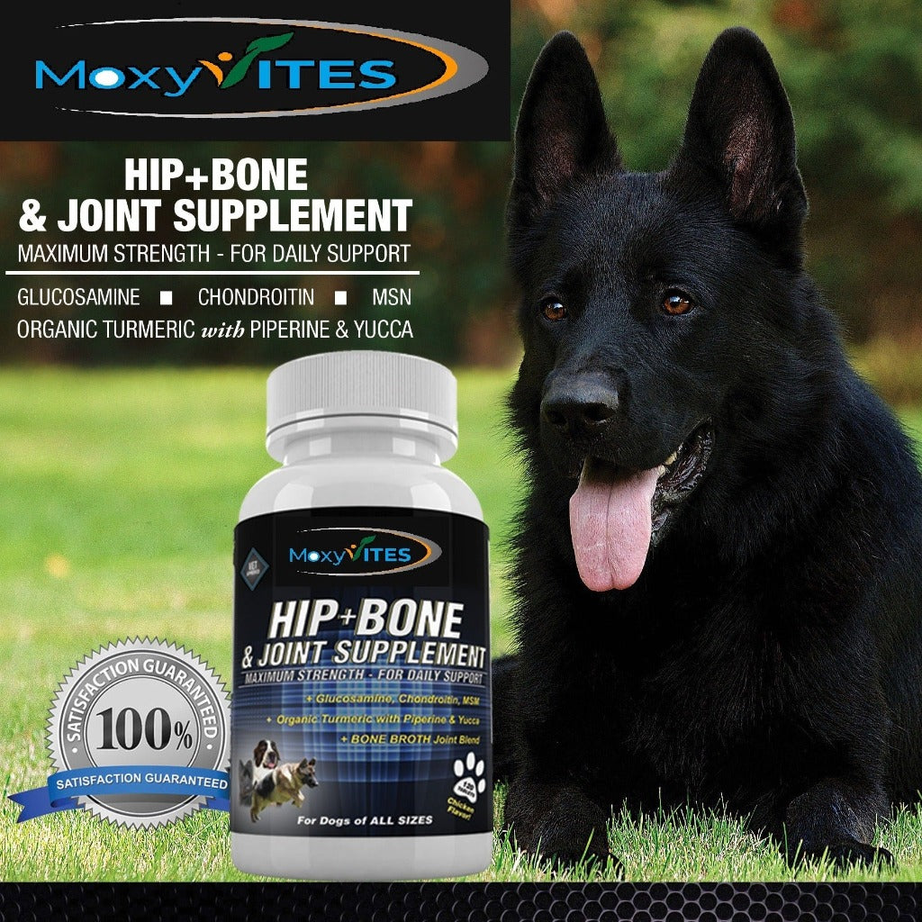 Glucosamine Chondroitin 800 mg, MSM 800mg, Hyaluronic acid 10mg, Bone Broth